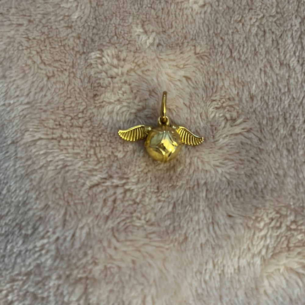 Pandora retired Harry Potter charm!